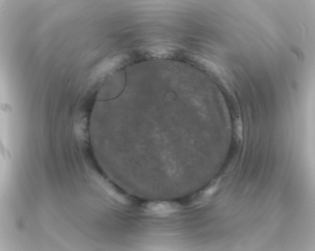 X0000090720181200708101600