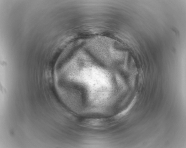 X0000090720182200708101600