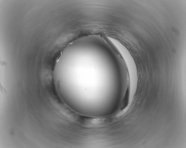 X0000090720184200708101600