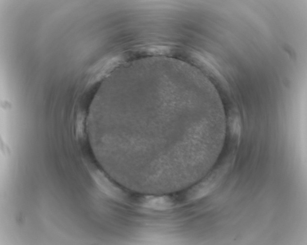 X0000090720185200708101600