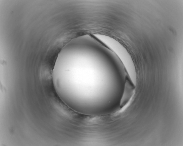 X0000090720186200708101600