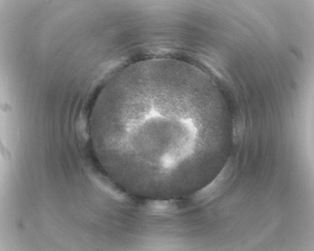 X0000090720187200708101600