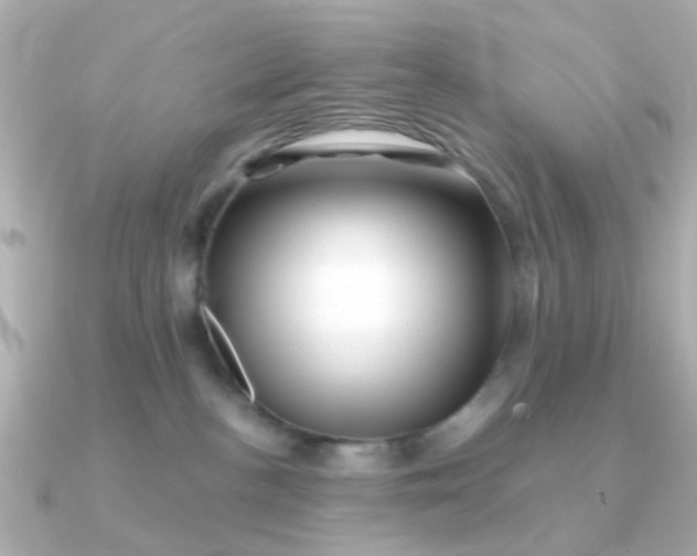 X0000090720188200708101600