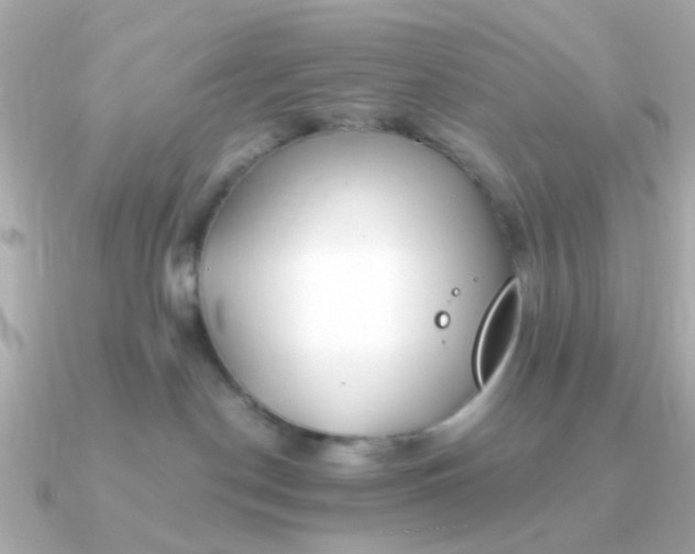 X0000090720190200708101600