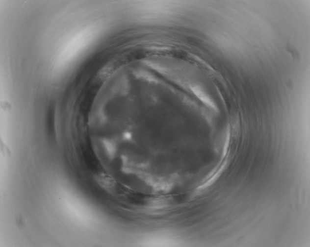 X0000090720191200708101601