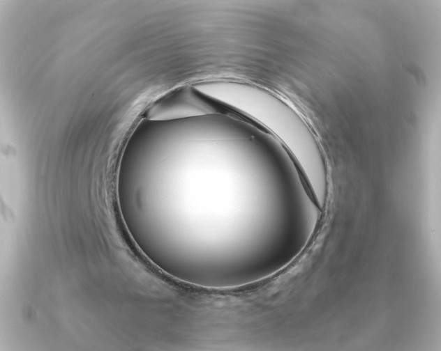 X0000090720193200708101600