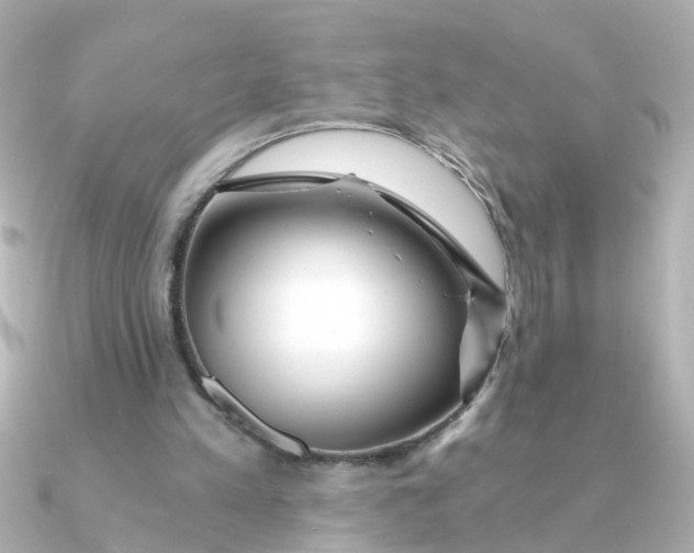 X0000090720197200708101600