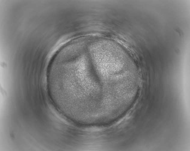 X0000090720198200708101600