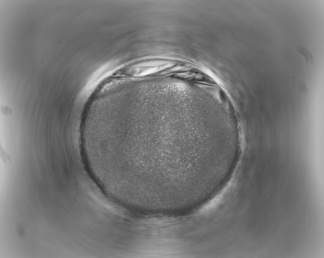 X0000090720199200708101600