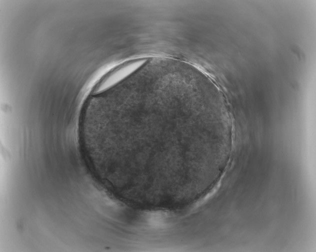 X0000090720200200708101600