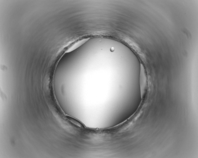 X0000090720201200708101600