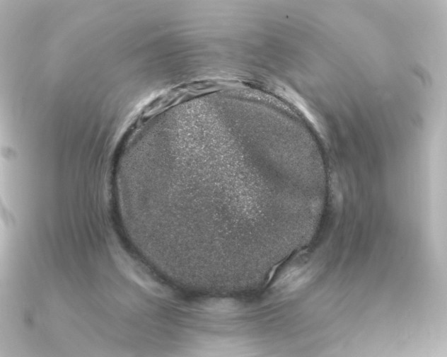 X0000090720203200708101600