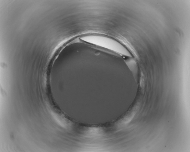 X0000090720204200708101600