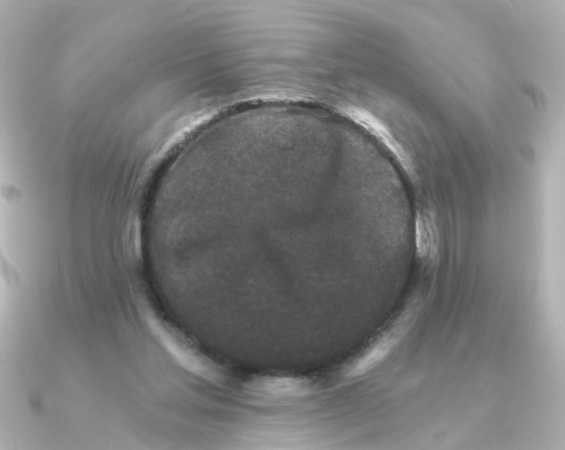 X0000090720205200708101600