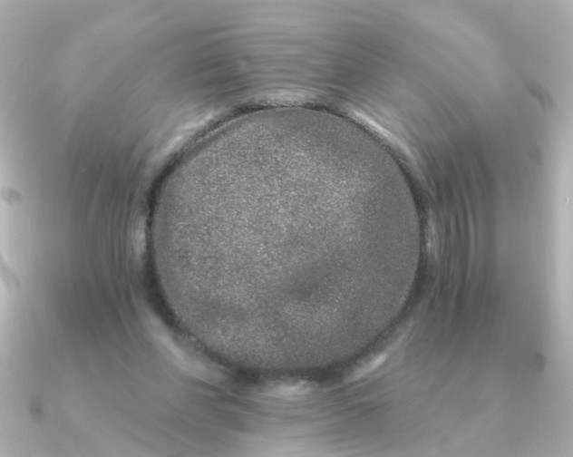 X0000090720206200708101600