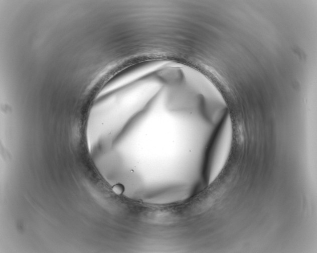 X0000090720208200708101600