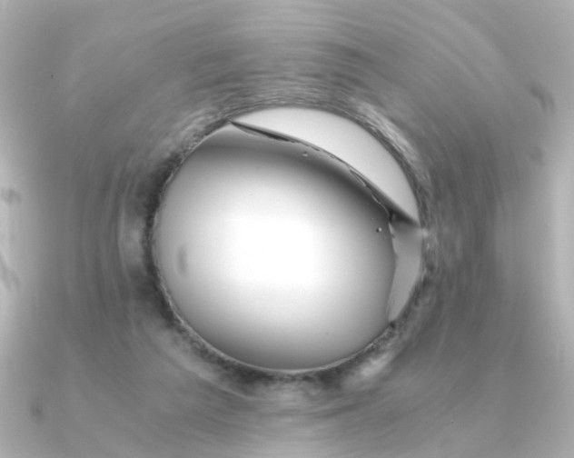 X0000090720209200708101600