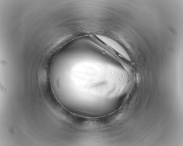 X0000090720211200708101600