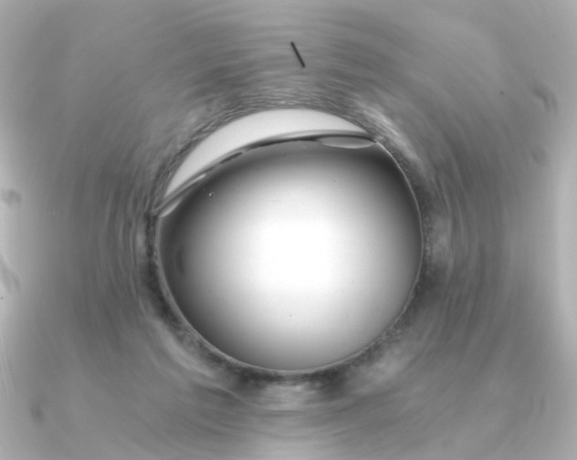 X0000090720213200708101600