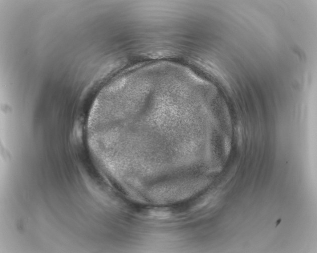 X0000090720214200708101600