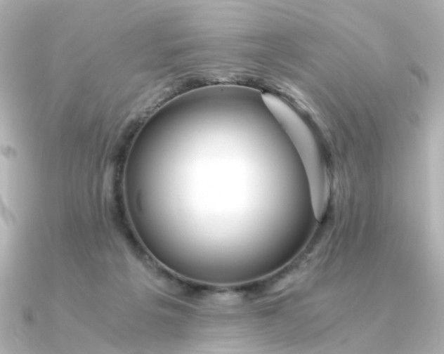 X0000090720217200708101600