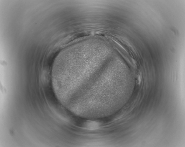 X0000090720218200708101600