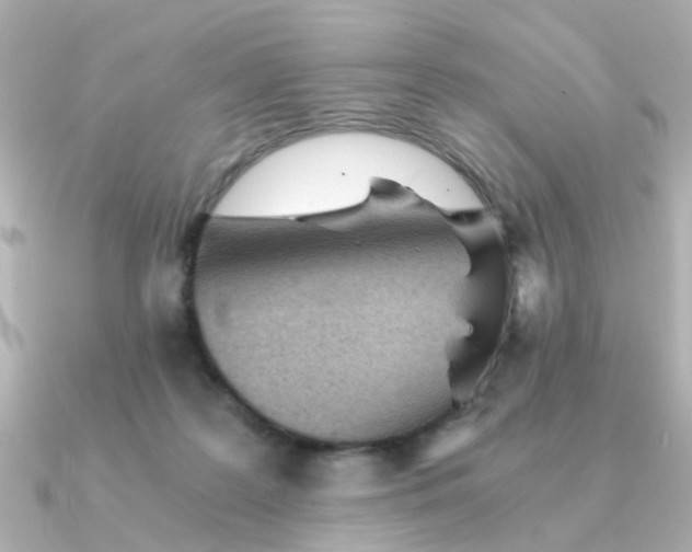 X0000090720219200708101600