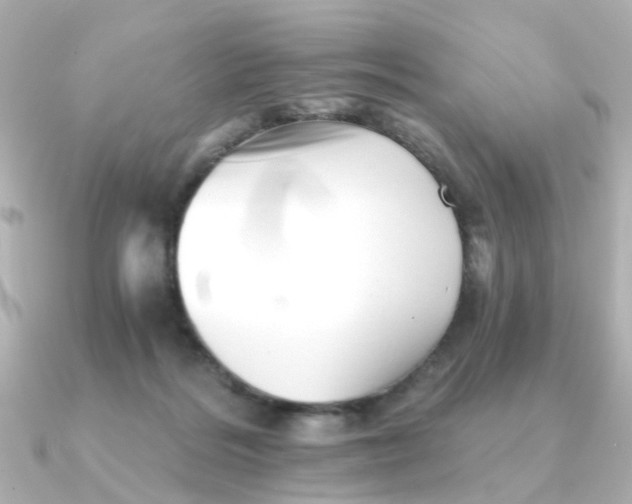 X0000090720220200708101600