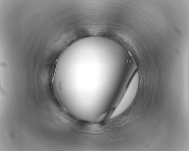 X0000090720221200708101600