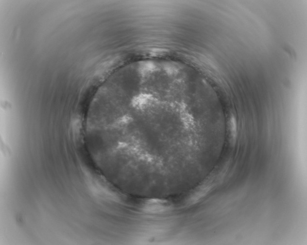 X0000090720222200708101600