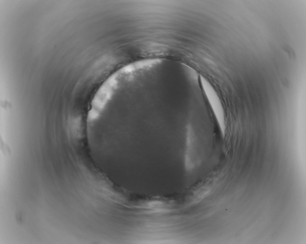 X0000090720224200708101559