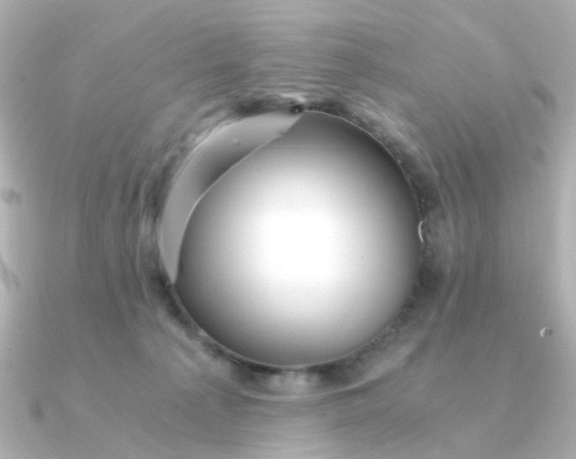 X0000090720225200708101559