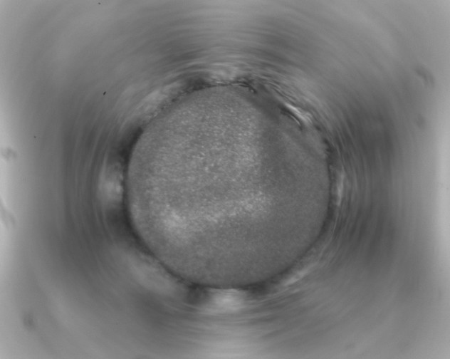 X0000090720226200708101559