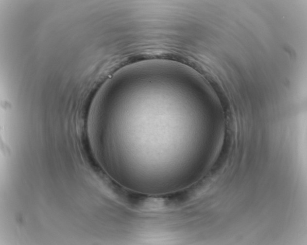 X0000090720227200708101559