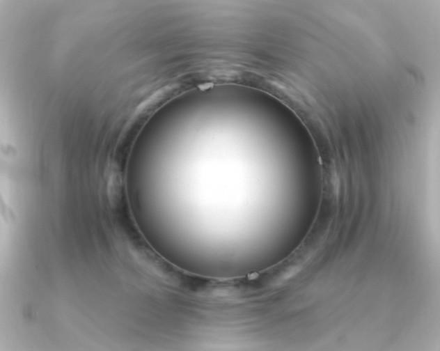 X0000090720228200708101559