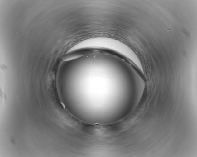 X0000090720229200708101559