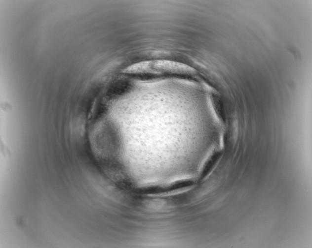 X0000090720230200708101559