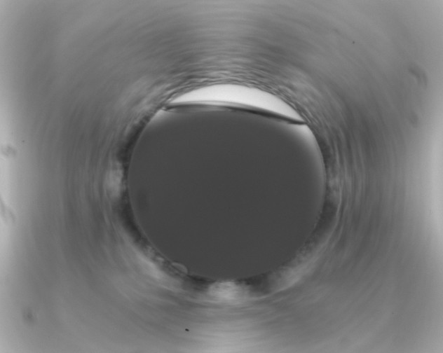 X0000090720231200708101559