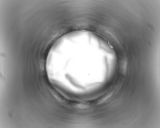 X0000090720232200708101559