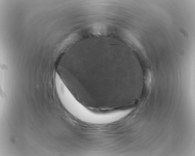 X0000090720233200708101559