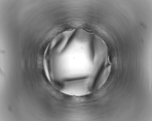 X0000090720234200708101559