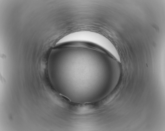 X0000090720235200708101559