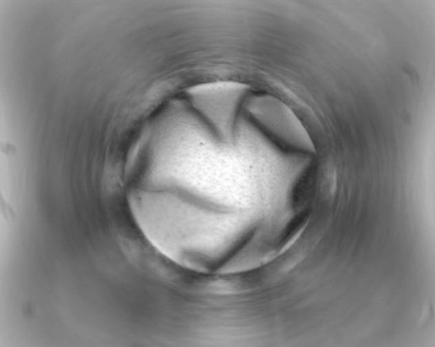 X0000090720236200708101559