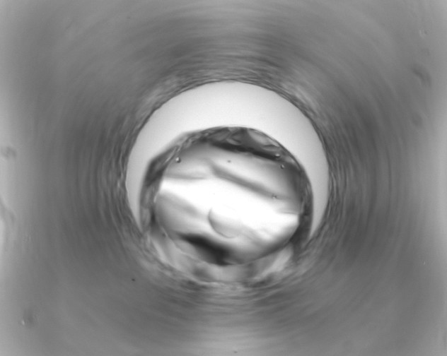 X0000090720237200708101559