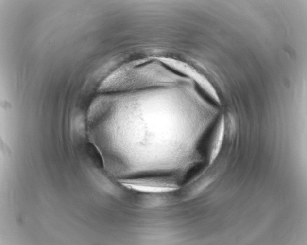 X0000090720238200708101559