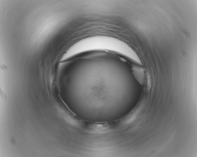 X0000090720239200708101559