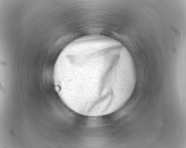 X0000090720240200708101559