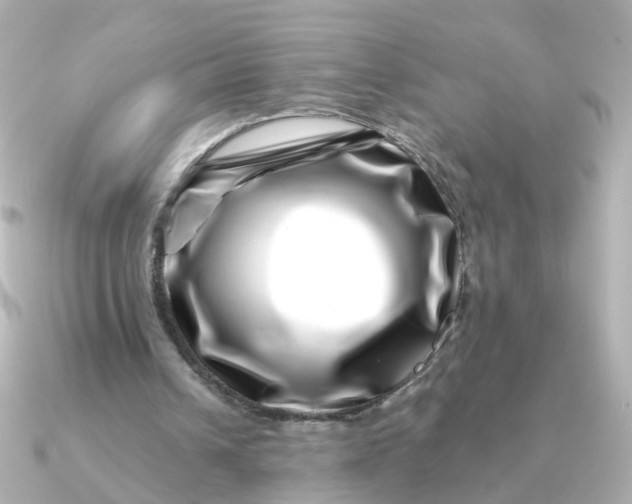 X0000090720242200708101559