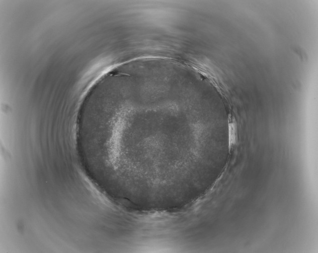 X0000090720243200708101559