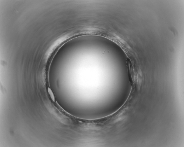 X0000090720244200708101559